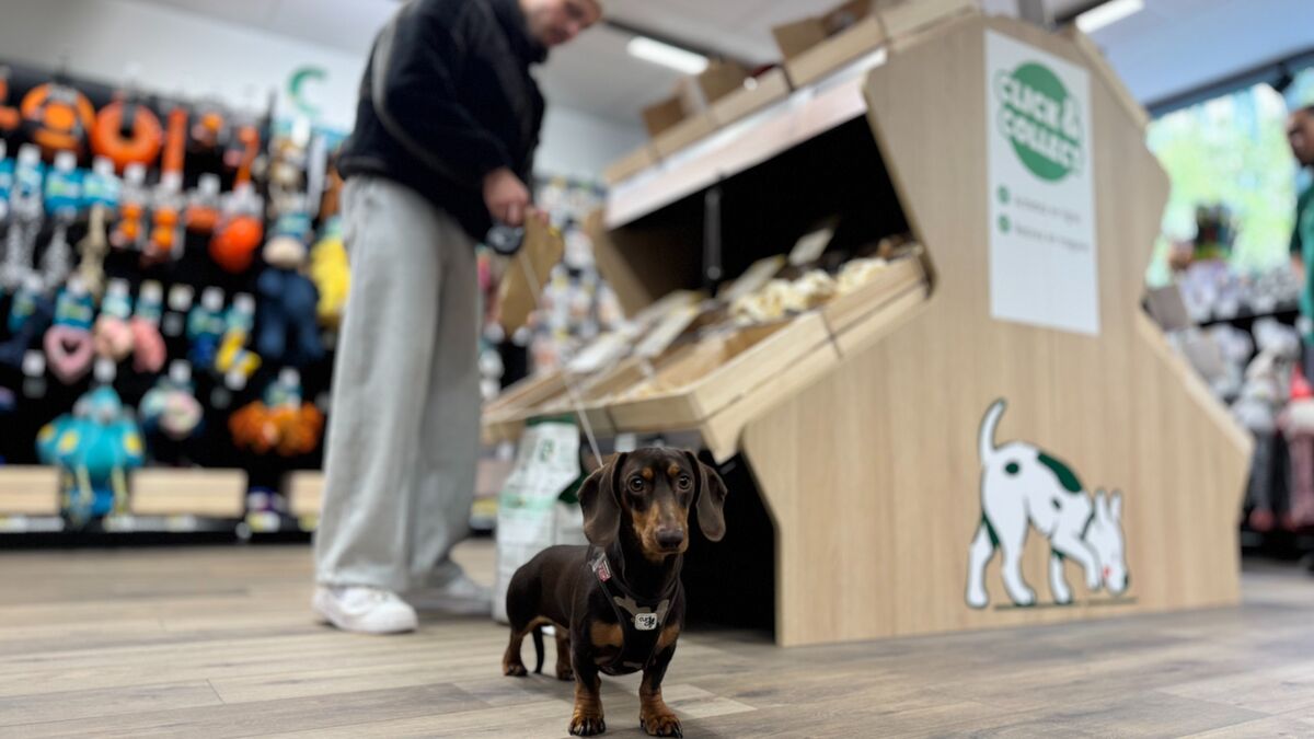 « L’espace chat a été dévalisé ! » : à Paris, le premier Maxi Zoo urbain séduit déjà les propriétaires d’animaux