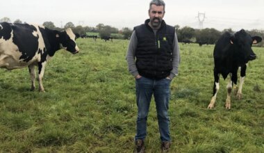 ENTRETIEN. L’agriculture bio en baisse ? « C’est passager» selon cet éleveur de