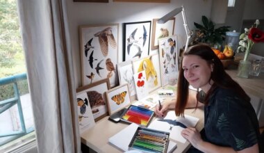 À Betton, elle crée son atelier d’illustratrice naturaliste