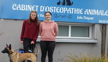 Thorigné-Fouillard. Deux ostéopathes animalières rue Nationale