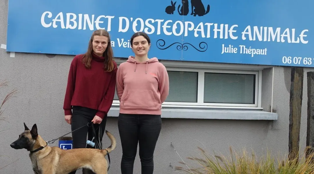 Thorigné-Fouillard. Deux ostéopathes animalières rue Nationale