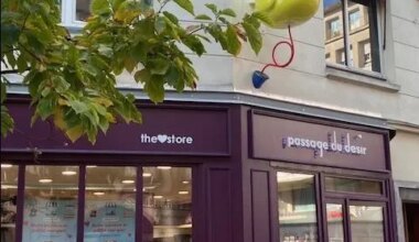 Après la fermeture de son sex-shop à Nantes, le canard jaune du Van migre jusqu’au Passage du