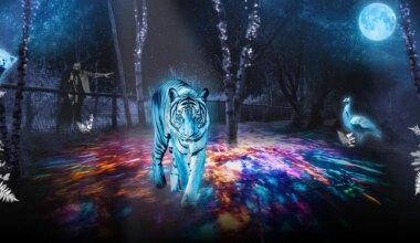 Près de Nantes, le parc animalier Planète sauvage ouvre cet hiver et propose une déambulation