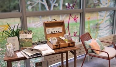 La nature au cœur des rendez-vous de la médiathèque de Cesson-Sévigné