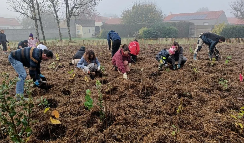« La terre nous est propice » : au sud de Nantes, habitants et écoliers s’unissent pour
