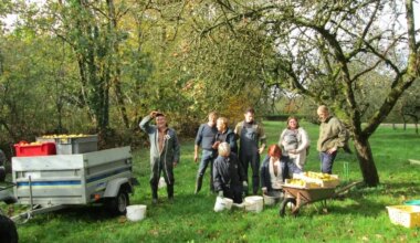 Dans cette commune d’Ille-et-Vilaine, les habitants s’organisent face à l’abondance de pommes