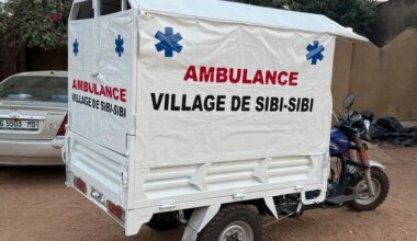 Thorigné-Fouillard. Une exposition-vente pour le village de Sibi Sibi au Mali