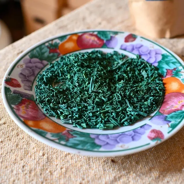 La spiruline est une algue aux multiples vertus, qui peut être cultivée puis séchée pour être consommée. Franck Dubray/ Ouest France photo la spiruline est une algue aux multiples vertus, qui peut être cultivée puis séchée pour être consommée. © franck dubray/ ouest france