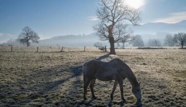 Météo : après des températures anormalement douces pour la saison, le mercure va chuter dans