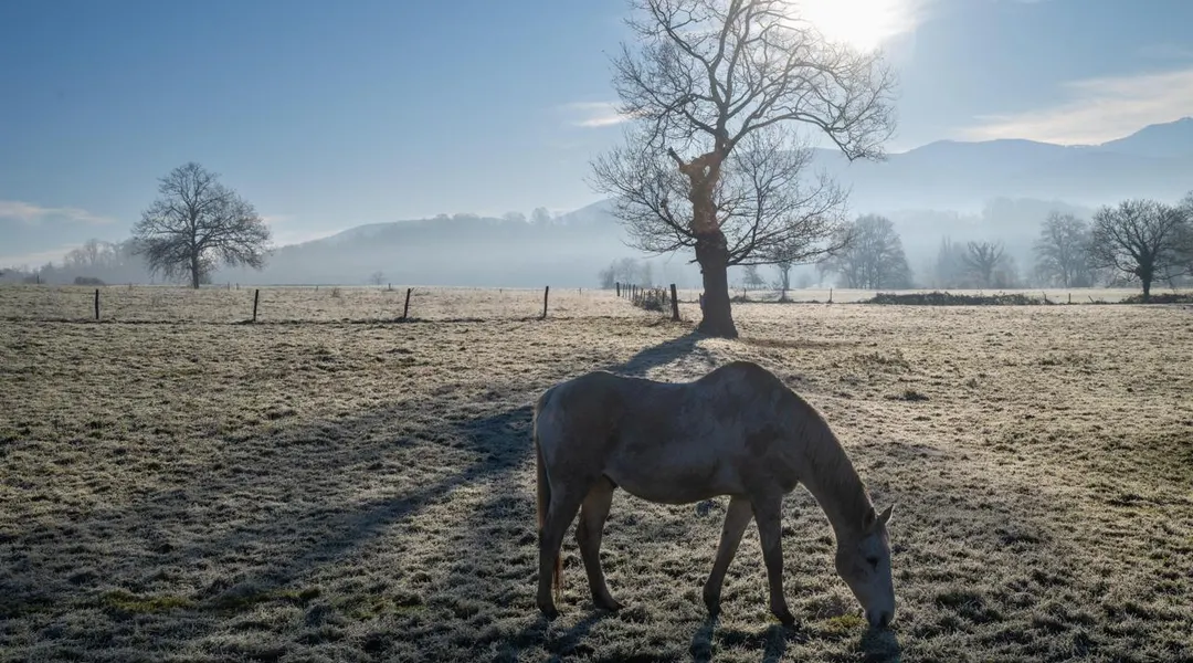 Météo : après des températures anormalement douces pour la saison, le mercure va chuter dans