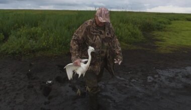 Oiseaux, bio, feu : les indiscrétions de la semaine de la rédaction de Presse Océan