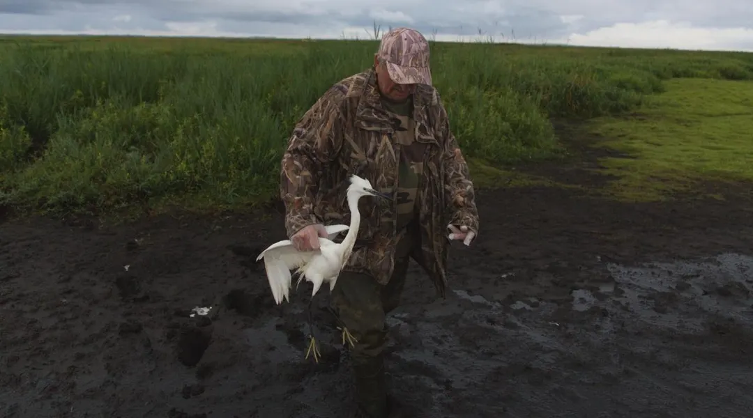 Oiseaux, bio, feu : les indiscrétions de la semaine de la rédaction de Presse Océan
