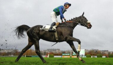 48 H de l’obstacle à Auteuil : Daniela Mele et Dominique Bressou, la jolie paire de la Manche .