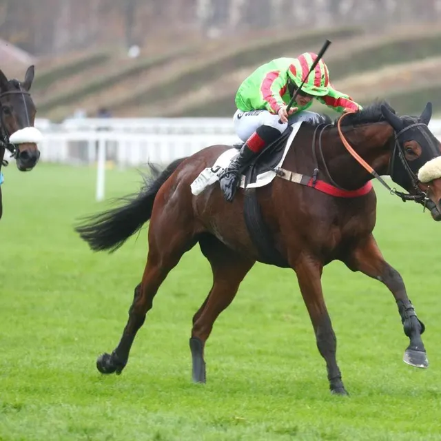 Leader Sport domine sa génération à Auteuil en remportant le Grand Steeple Chase des 4 ans 2025. France Galop photo leader sport domine sa génération à auteuil en remportant le grand steeple chase des 4 ans 2025. © france galop