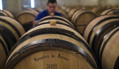 Hospices de Beaune : la pièce du président adjugée 400 000 €