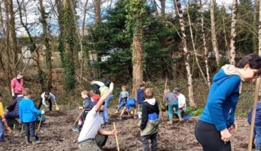 Orvault. Les CP invités à planter des arbres à la Cressonnière