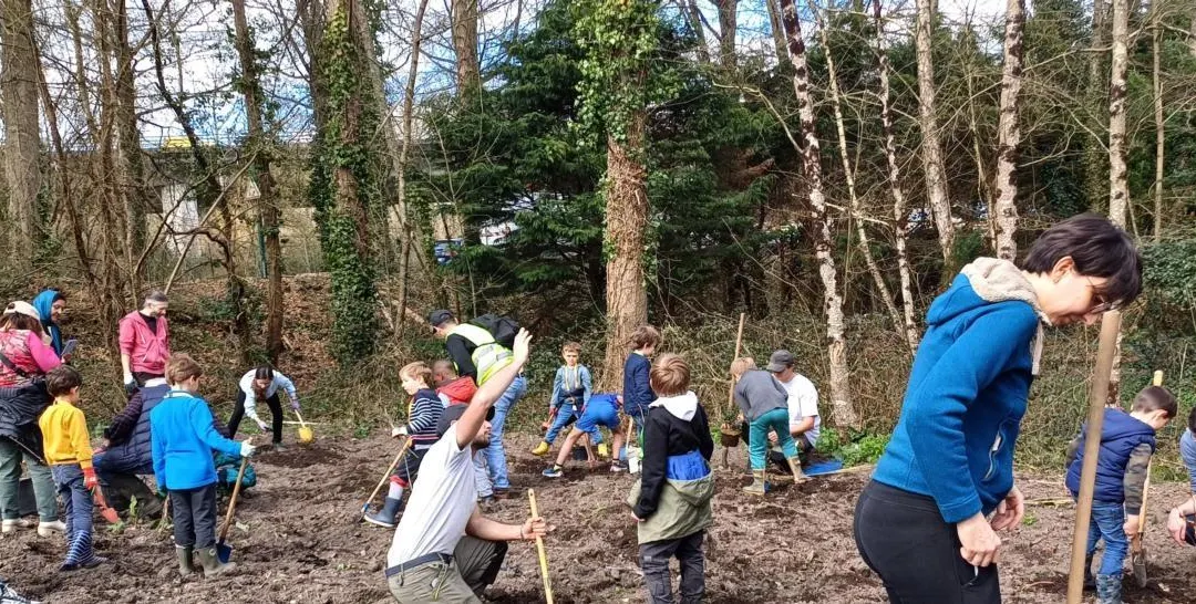 Orvault. Les CP invités à planter des arbres à la Cressonnière