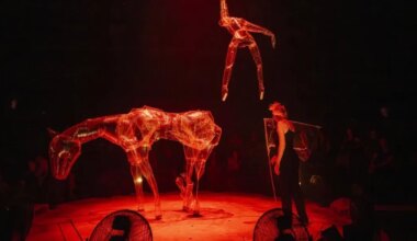 À voir : le spectacle hypnotique de Phia Ménard, la performeuse qui dompte le vent