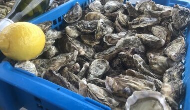 Recyclez vos coquillages cet hiver dans les déchetteries