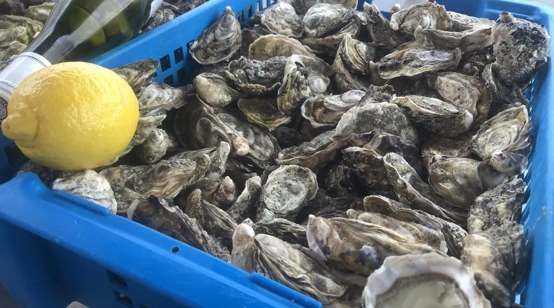 Recyclez vos coquillages cet hiver dans les déchetteries