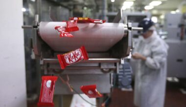 «Les entreprises visent la rentabilité, pas la santé des consommateurs» – Libération