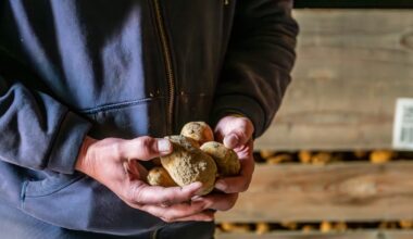 "L'Europe de 2049 sera marquée par le surgissement de la pénurie"