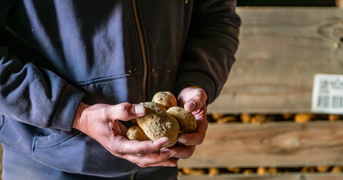 "L'Europe de 2049 sera marquée par le surgissement de la pénurie"