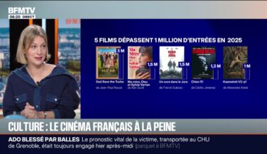 Seulement 5 films français ont dépassé le million d'entrées au cinéma en 2025 contre 11 en 2024