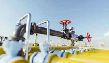 À quel prix l’Algérie vend-t-elle son gaz à la France ?