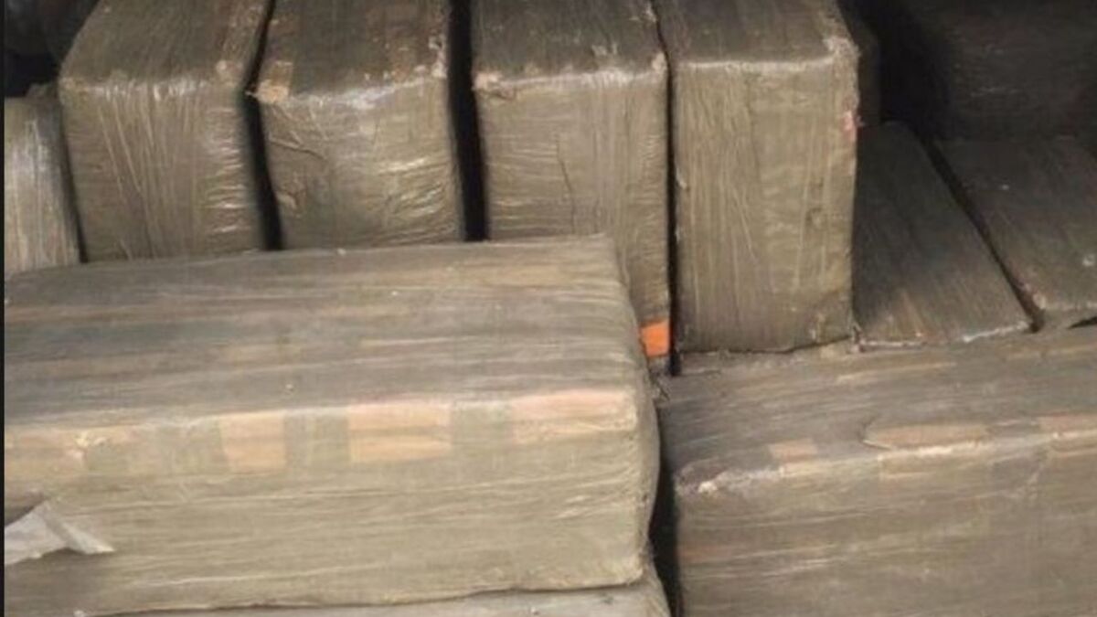 Valises marocaines, munitions et voiture volée : plus de 800 kg de cannabis destinés aux réseaux lyonnais et stéphanois saisis