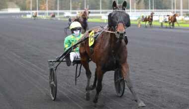 Arrivée du quinté du samedi 29 novembre à Paris-Vincennes : Idylle Express ne manque pas l’objectif avec Jean-Michel Bazire
