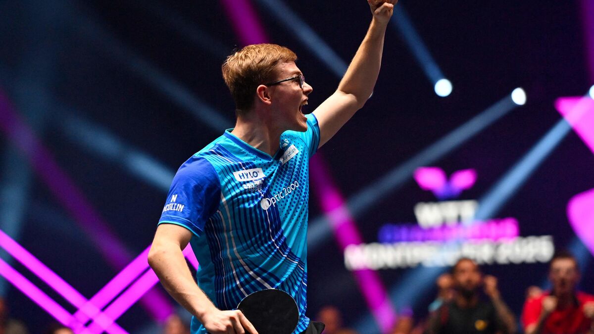 « Alexis et Félix, ce n’est pas la famille, mais presque ! » : à Montpellier, les Lebrun jouent vraiment à domicile