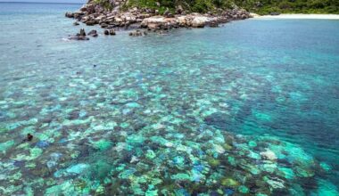 Oubliée par un bateau de croisière, une octogénaire australienne retrouvée morte sur une île paradisiaque – Libération