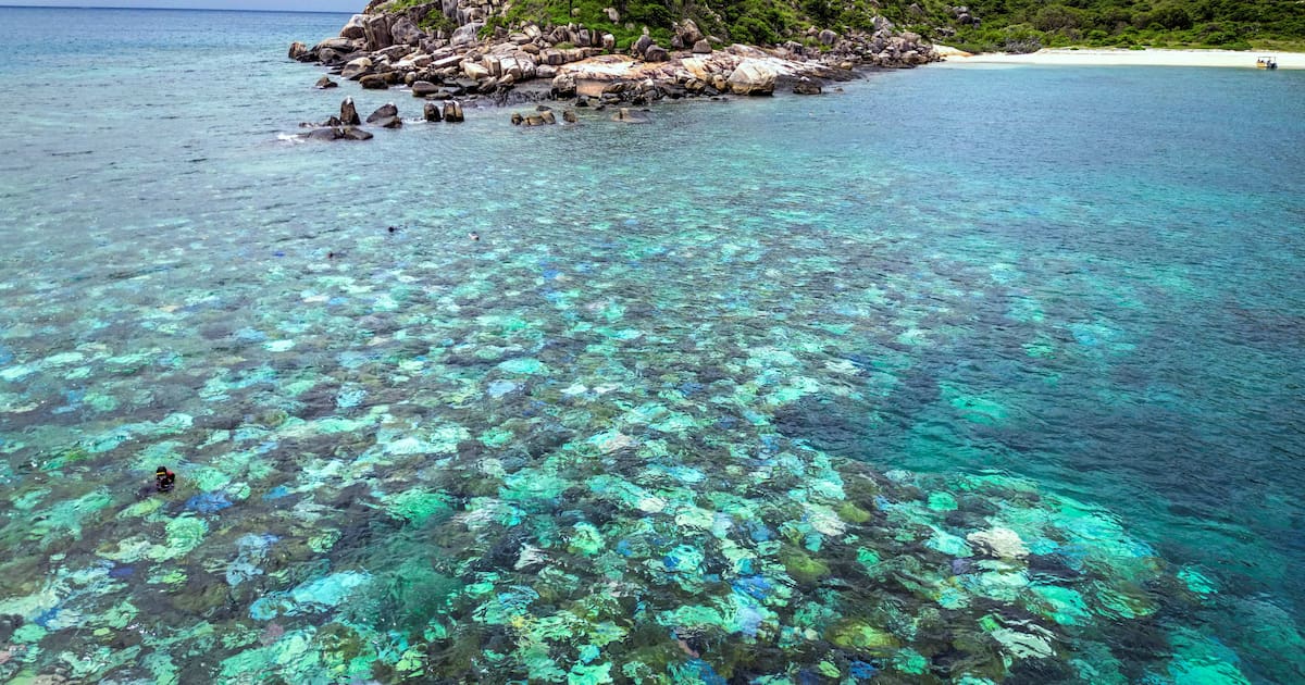 Oubliée par un bateau de croisière, une octogénaire australienne retrouvée morte sur une île paradisiaque – Libération