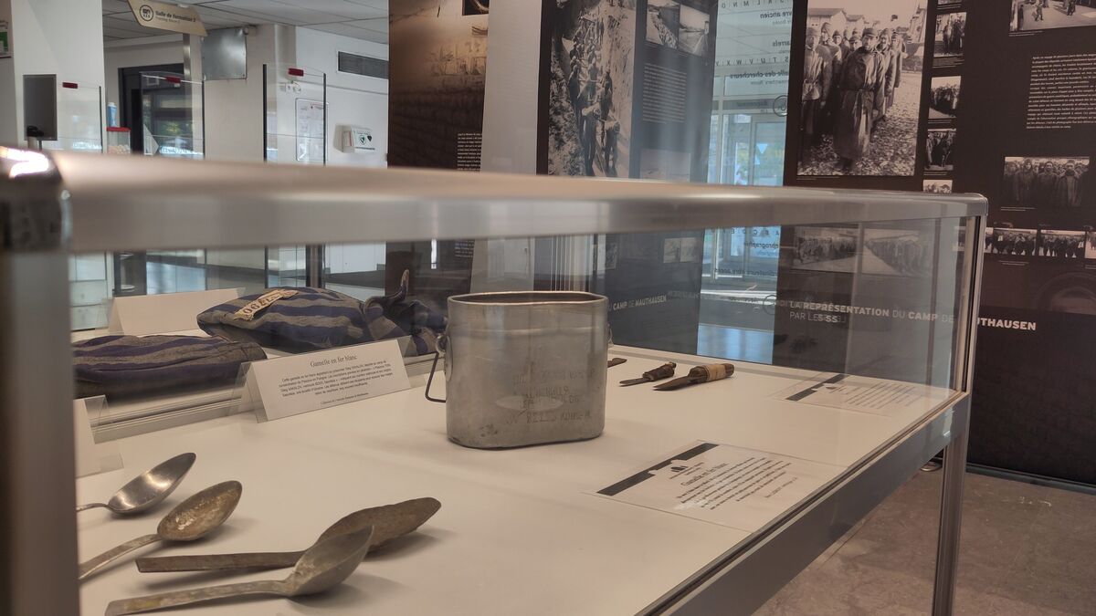 « Important que les jeunes voient cela » : la part visible du camp de Mauthausen se dévoile à Toulouse