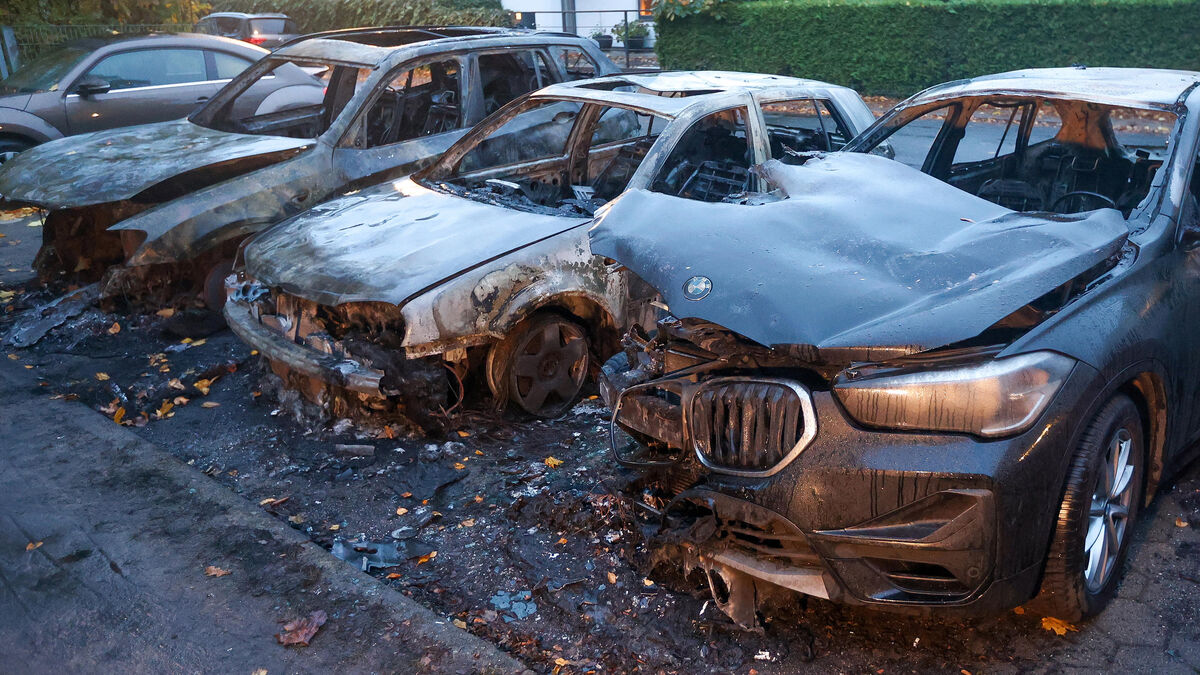 Allemagne : la voiture d’un député de l’AfD incendiée, des antifascistes revendiquent les dégradations