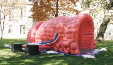 Pourquoi une prostate géante à Paris et à Emerainville ?