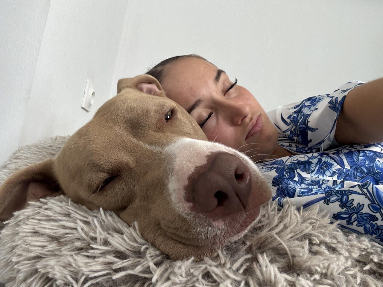 près de Rouen, Symba a été tué de nombreux coups de couteau