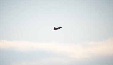 le pays ferme brièvement son espace aérien après une nouvelle incursion de drones