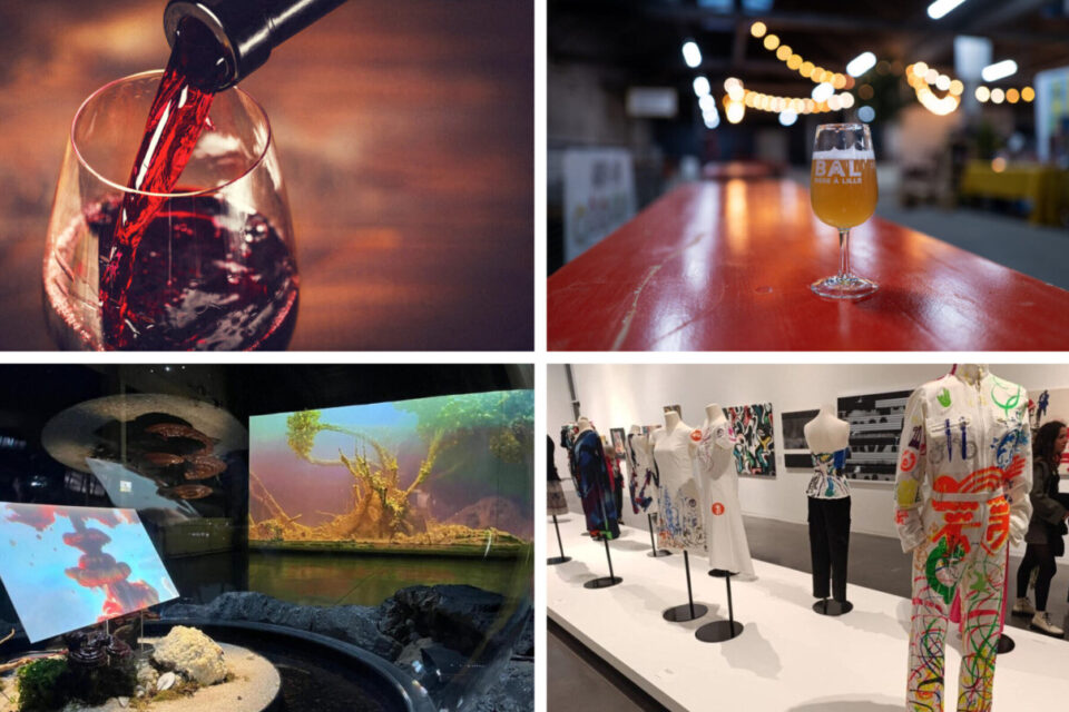 Salon des vignerons, bière, expos... Voici quelques idées de sorties pour les 22 et 23 novembre 2025, autour de Lille (Nord).