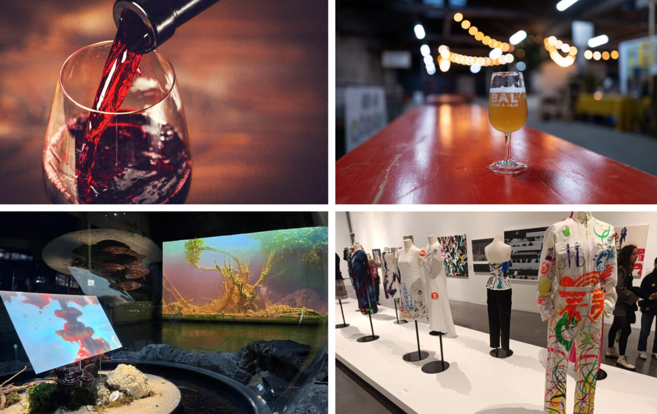 Salon des vignerons et de la bière, boum, nouveautés, expos… Que faire à Lille et autour ce week-end ?