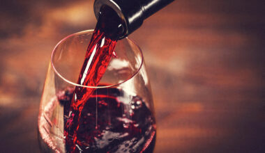 Plus de 500 vignerons à Lille pour le Salon des vignerons indépendants