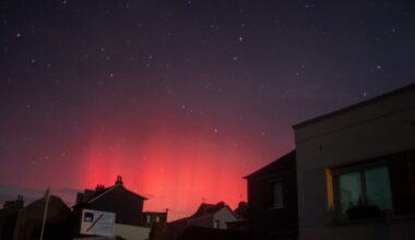 comment espérer les observer dans les Bouches-du-Rhône ?