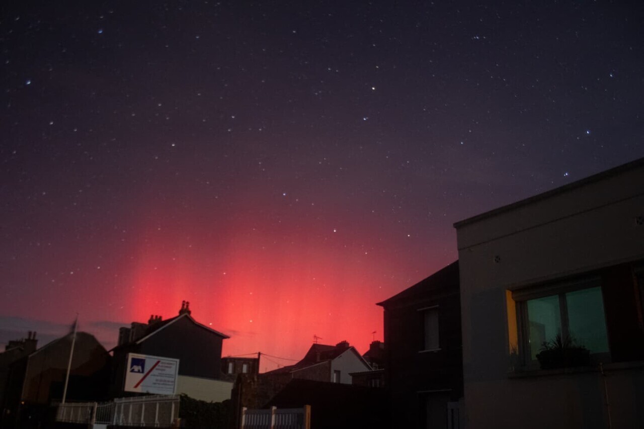 comment espérer les observer dans les Bouches-du-Rhône ?