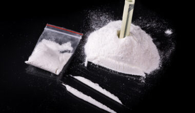 Arrêté par la police à Rouen, il était en fait la nourrice d'un important trafic de drogue