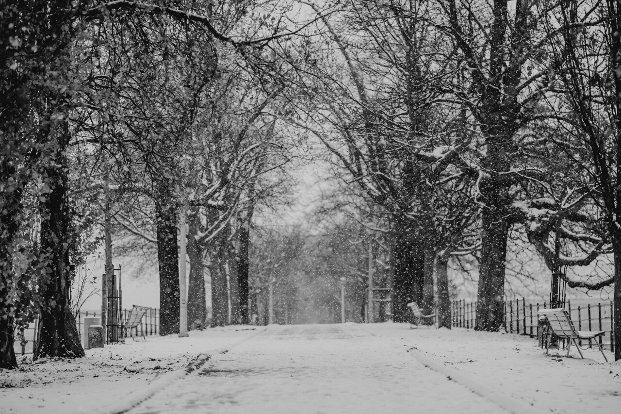à quoi s'attendre à Paris et en Île-de-France ?