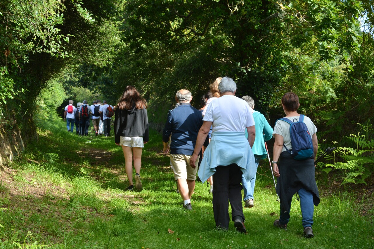 comment la marche permet de ralentir drastiquement le développement de la maladie