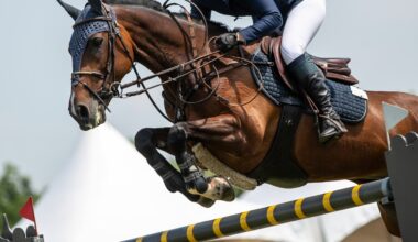 gagnez vos places pour Équi Seine !