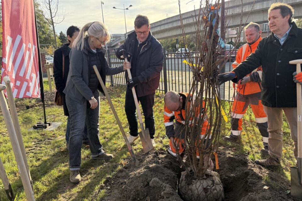Le maire de Lille, Arnaud Deslandes, a participé à la plantation citoyenne au square Léonard de Vinci, le 12 novembre.