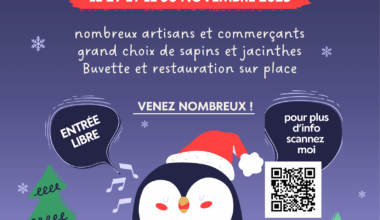Marché de Noël à Wavrin le samedi 29 novembre 2025